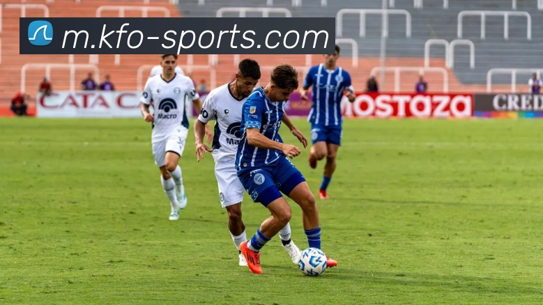 体育下注平台生态图